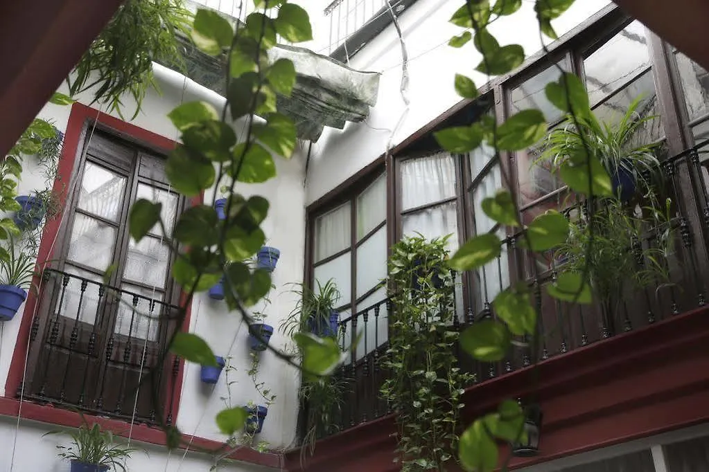 Pension Internacional Córdoba Gasthuis